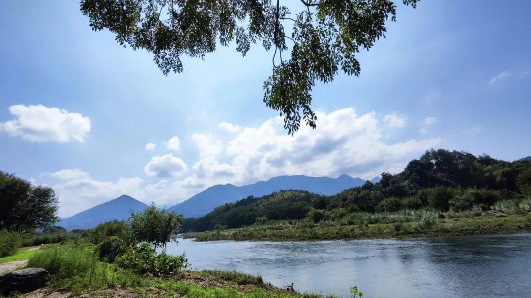 2023年度公司团建活动 | 探寻丽水景物