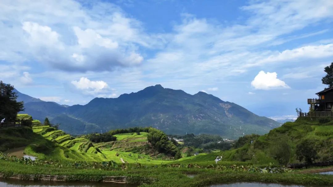 2023年度公司团建活动 | 探寻丽水景物