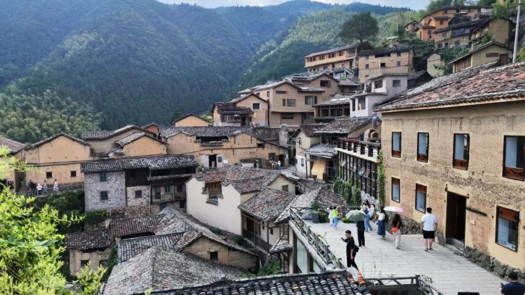 2023年度公司团建活动 | 探寻丽水景物