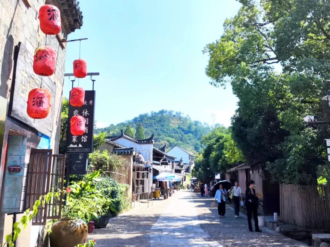 2023年度公司团建活动 | 探寻丽水景物